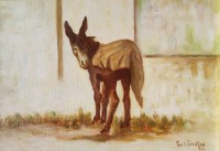 /album/animali/a61002-asinello-incuriosito-30x20-jpg/